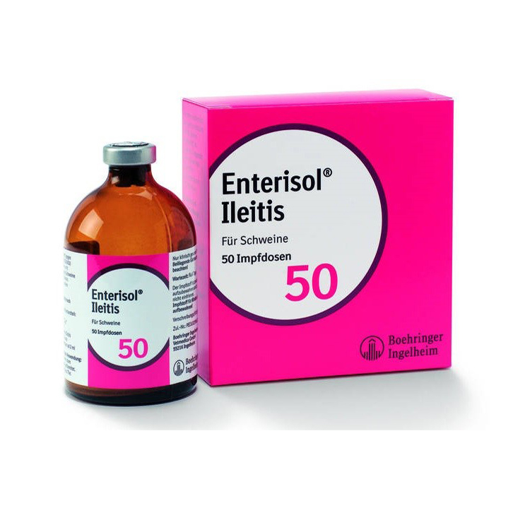 Enterisol_Ileitis
